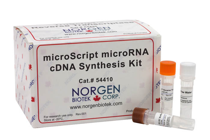 Norgen Biotek microScript microRNA cDNA Synthesis Kit